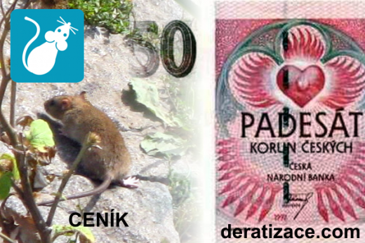 Kolik stojí hubení potkanů likvidace krys ceník deratizace Praha